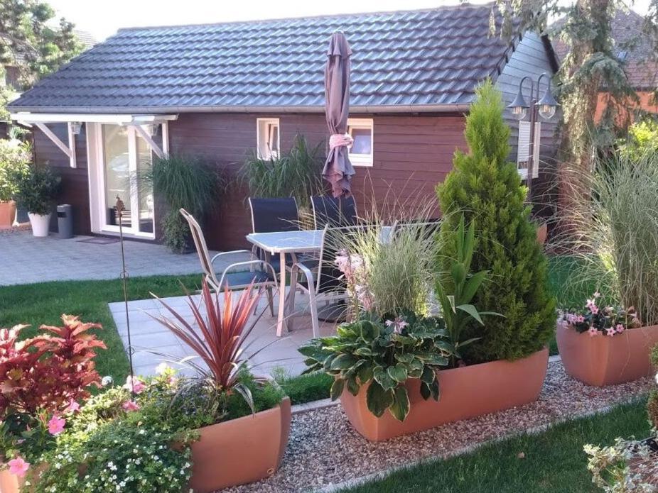 Gites Le P'Tit Paradis Du Ried Sundhouse Exteriér fotografie